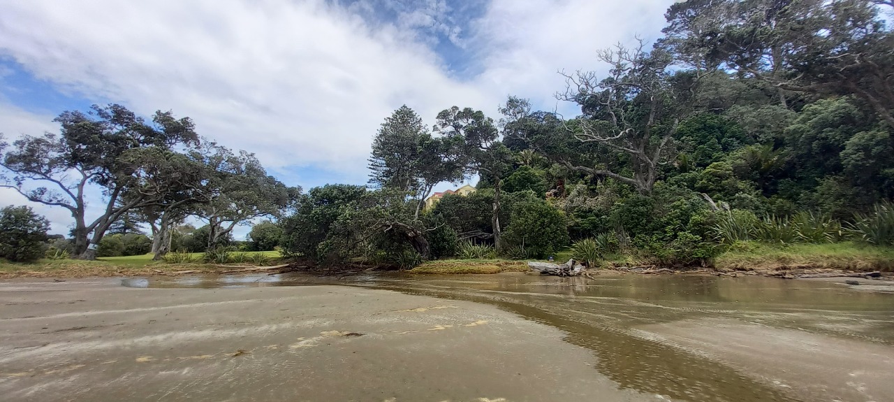 Annual Membership fee 2025